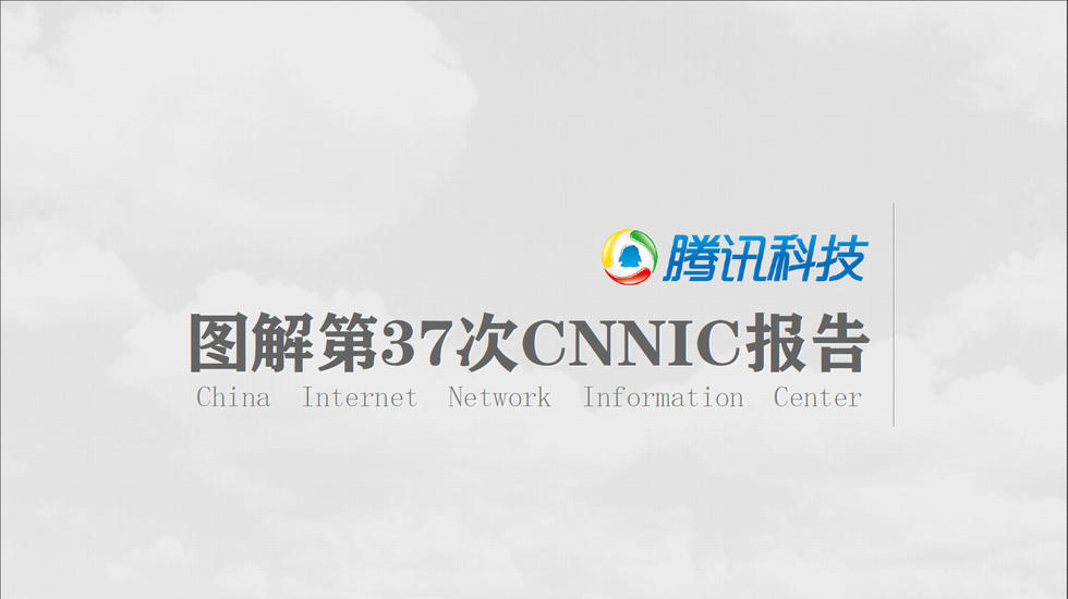 图解CNNIC中国互联网报告